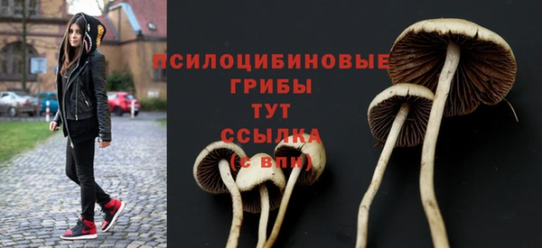 эйфоретик Алзамай