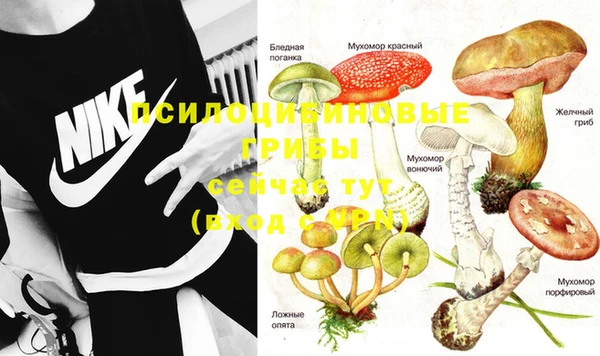 эйфоретик Алзамай