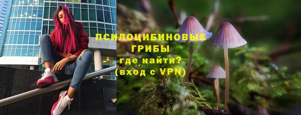 таблы Алексин