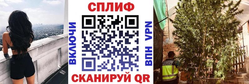 hydra tor  купить наркотик  Нытва  Бошки марихуана сатива 